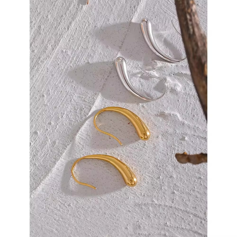 Shvet: Hook Earrings - Shvetah