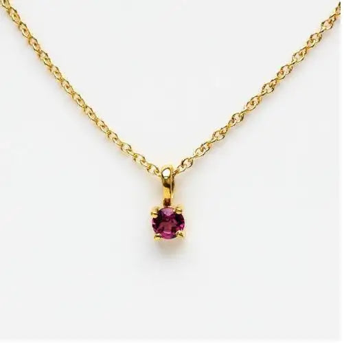 Birthstone Charm Necklace