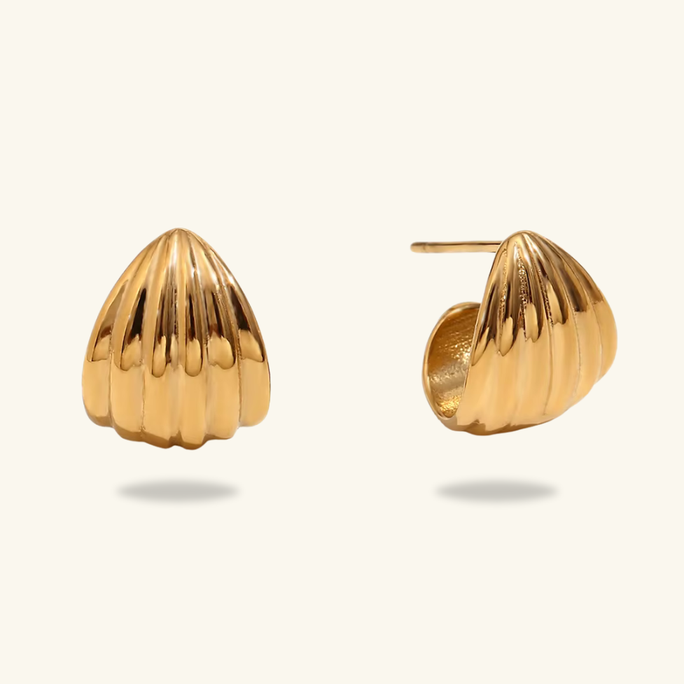 Shell Earrings