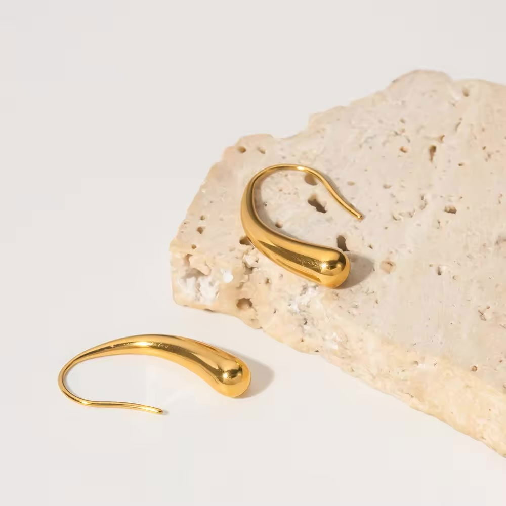Shvet: Hook Earrings - Shvetah
